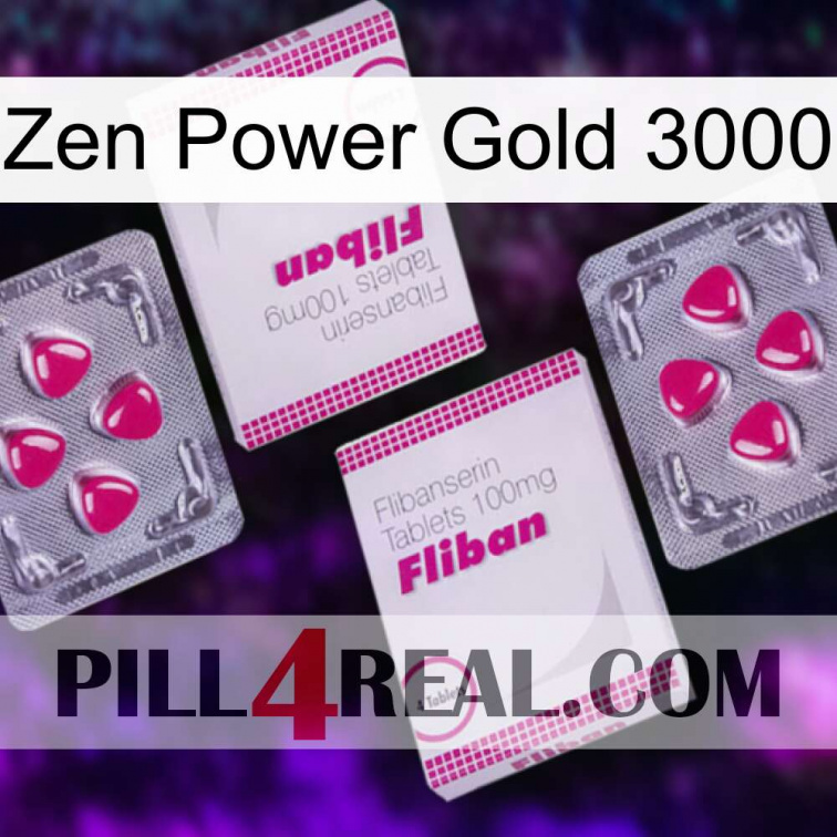 Zen Power Gold 3000 33